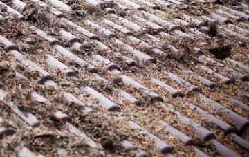 The Downs roof cleaning companies