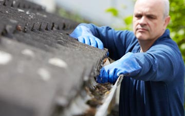 cleaning and inspecting The Downs roofs